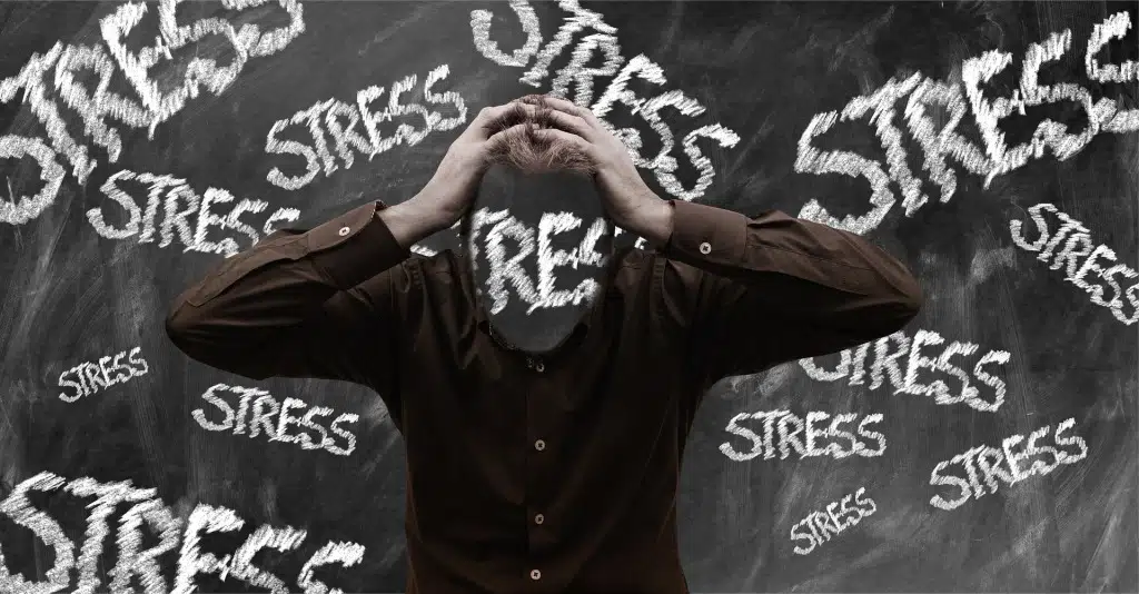 2.-stresszeves