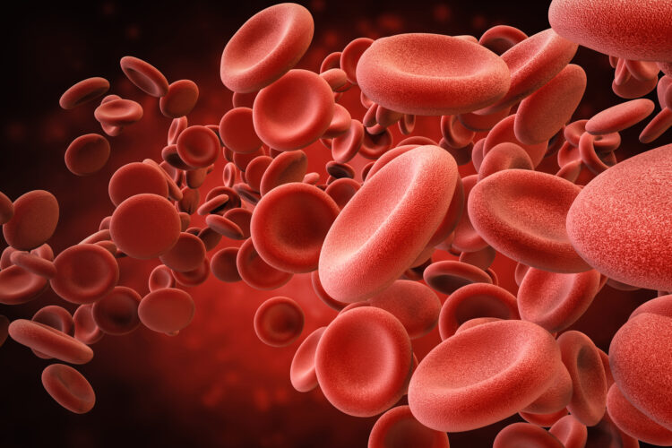 Red Blood Cells In Vein