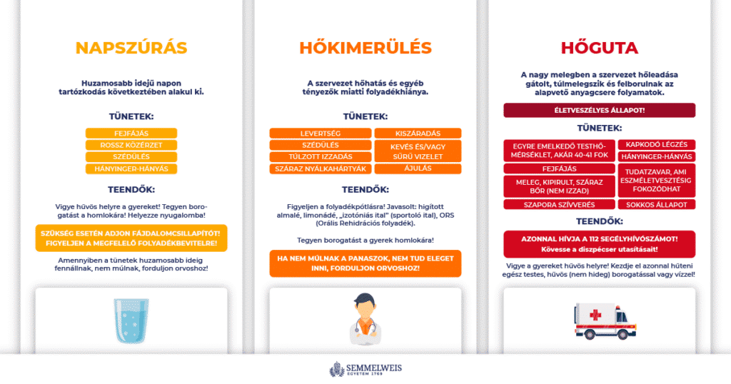 Hoguta infografika 1200x630 px png